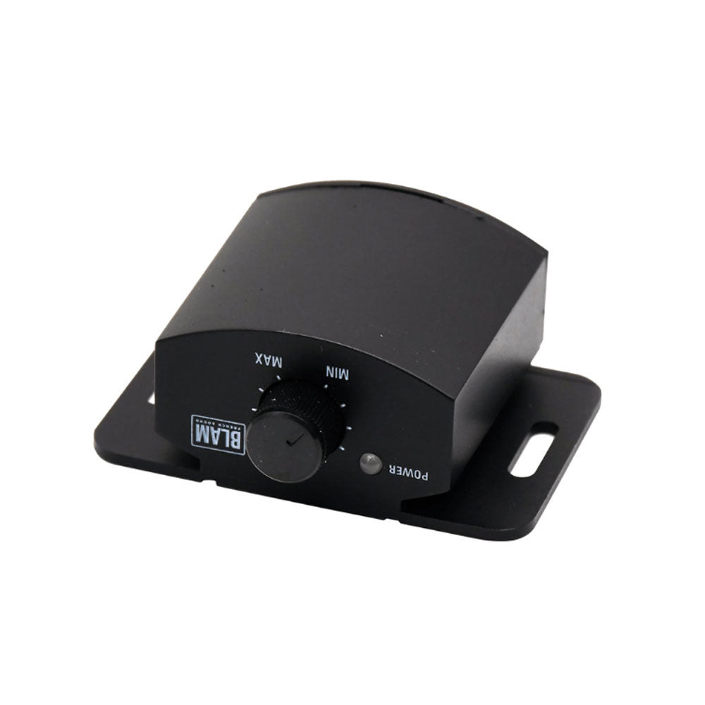 BLAM EXPRESS EX320 1-Channel (Monoblock) Class D amplifier 320 watts RMS (SPECIAL ORDER PRODUCT) BL-EX320