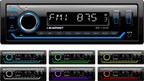 Blaupunkt BPA1123BT Single Din Mechless Front USB Bluetooth FM Tuner