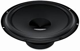 Hertz DS250 10" 300Watt Subwoofer