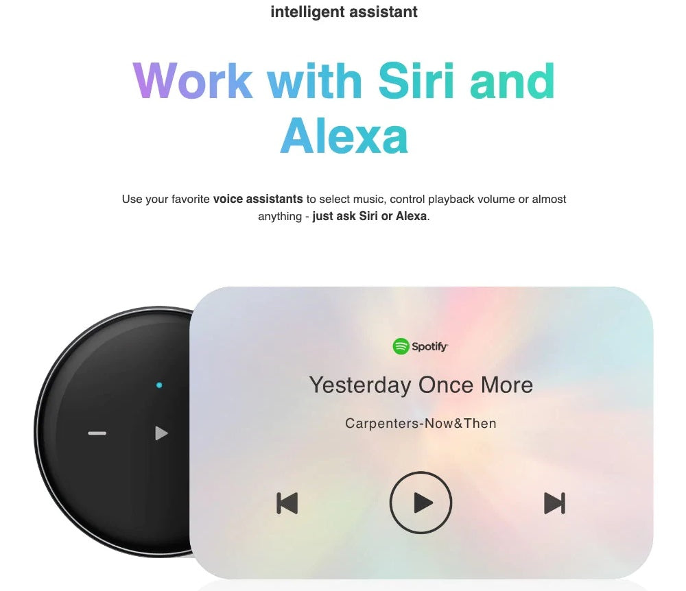 Elipson WM Multiroom Network Player Stream Remotely via WiFi, Airplay 2 or BT 5.2.