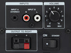TEAC LS-M100 Powered Speaker System - Black