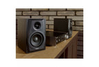 TEAC LS-M100 Powered Speaker System - Black