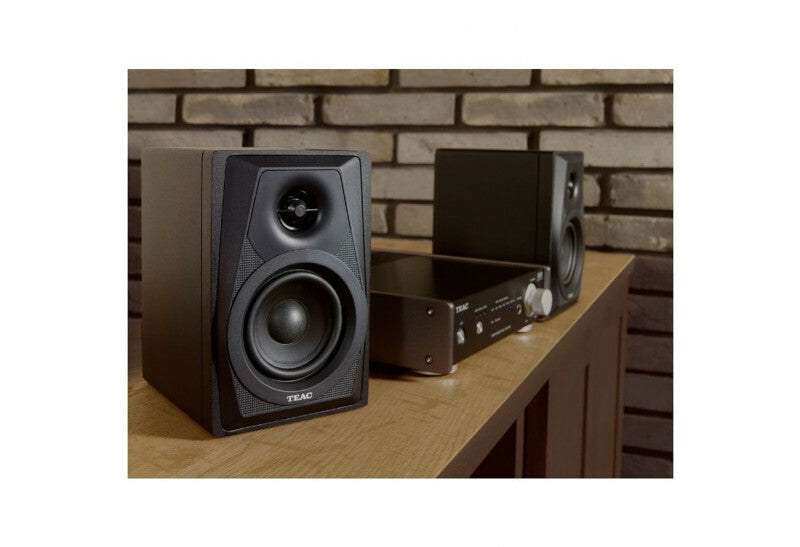 TEAC LS-M100 Powered Speaker System - Black