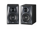 TEAC LS-M100 Powered Speaker System - Black