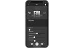 Rockford Fosgate PMX-RGB Lighting controller for Color Optix™ speaker systems