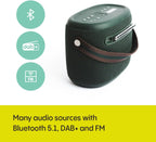 Pure Audio Woodland waterproof (IP67) Outdoor speaker with Bluetooth and FM/DAB+ radio