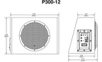 Rockford Fosgate P300-12 Punch Series compact 500-watt powered 12" subwoofer